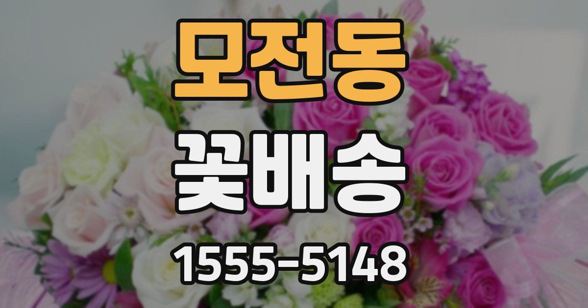 모전동 꽃배송