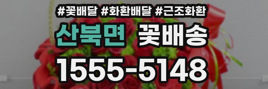 산북면 꽃배송