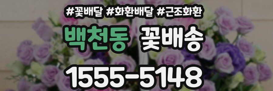 백천동 꽃배송