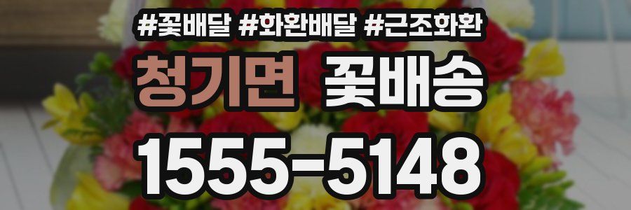 청기면 꽃배송