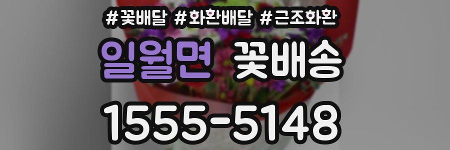 일월면 꽃배송