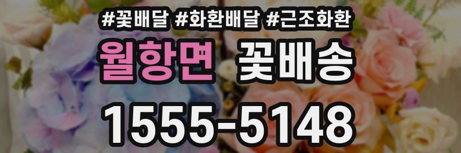월항면 꽃배송