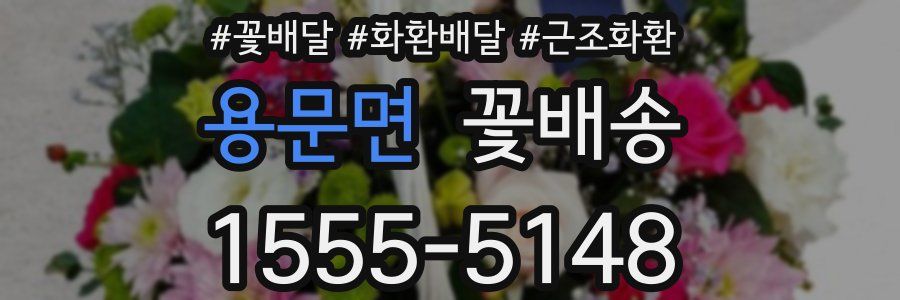 용문면 꽃배송