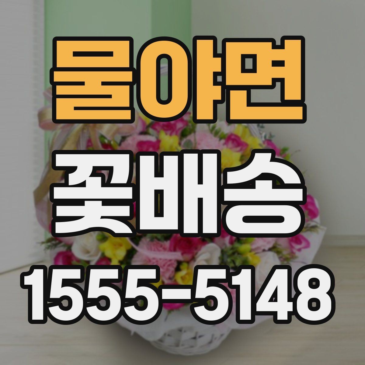 물야면 꽃배송 문구 카드 선택 요령
