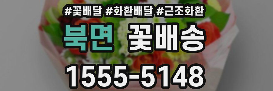 북면 꽃배송