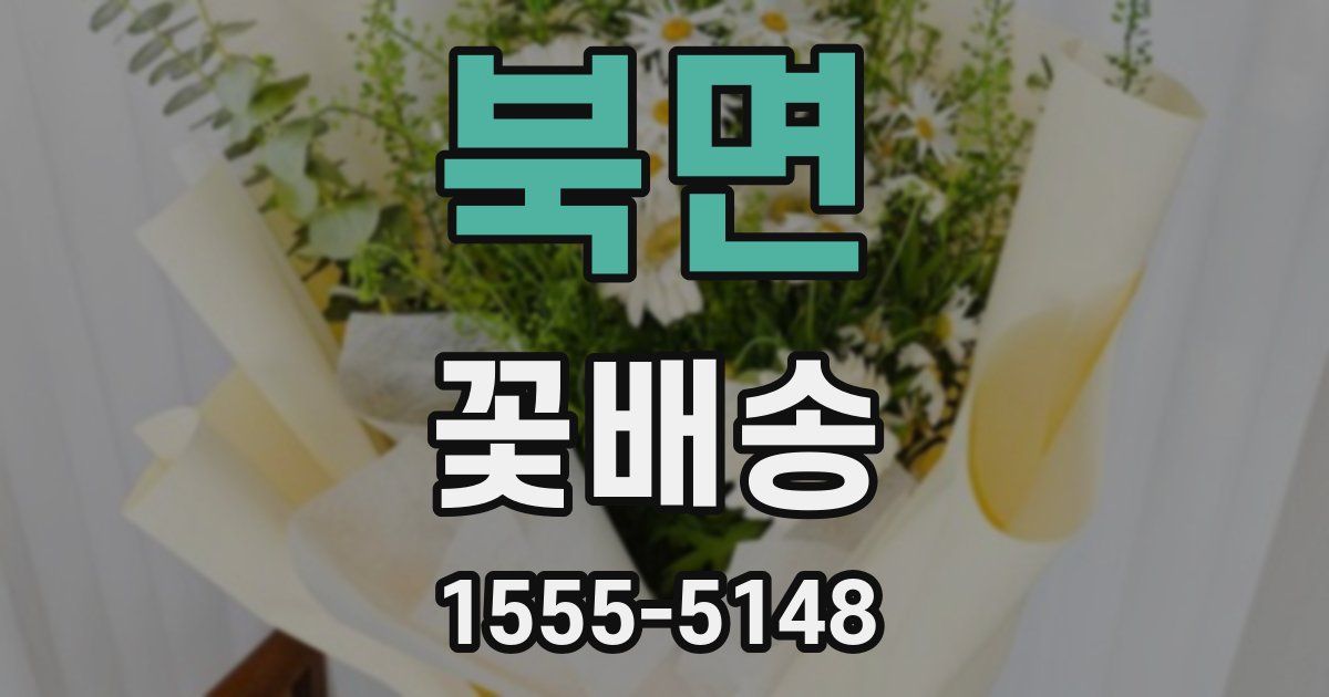 북면 꽃배송