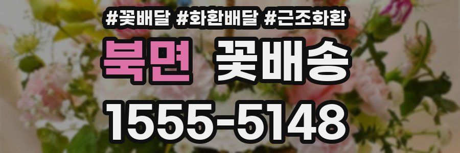 북면 꽃배송
