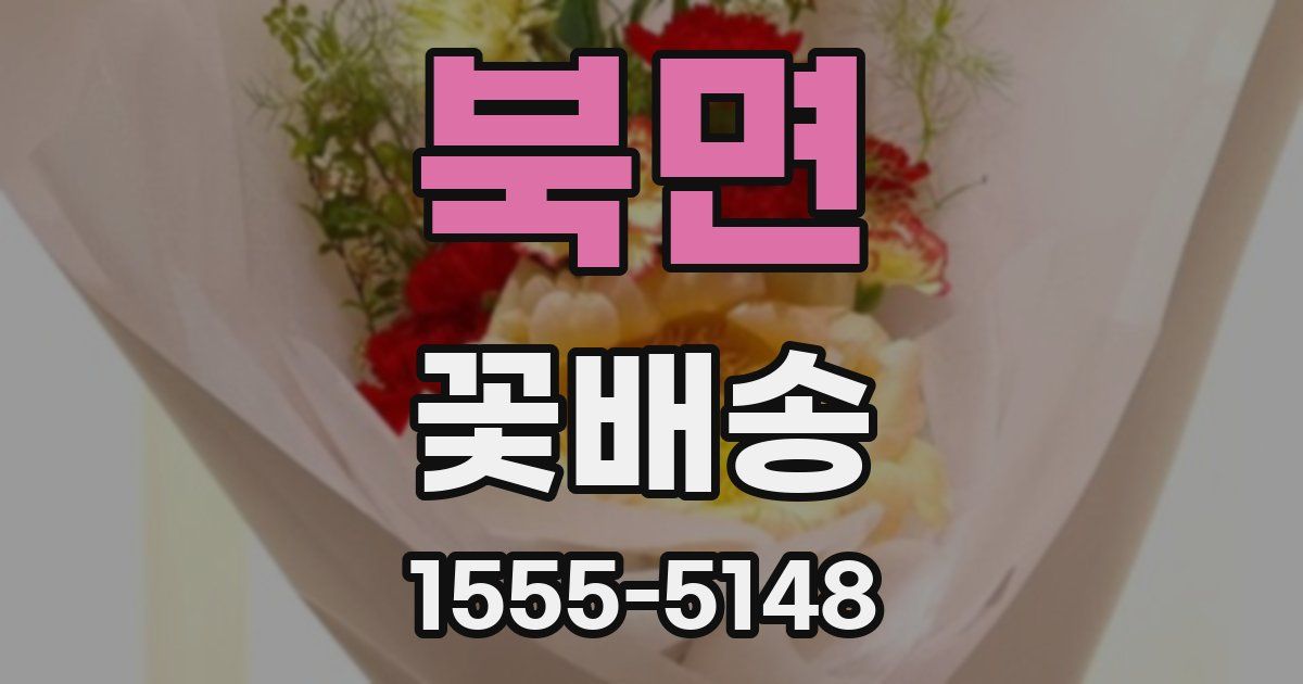 북면 꽃배송