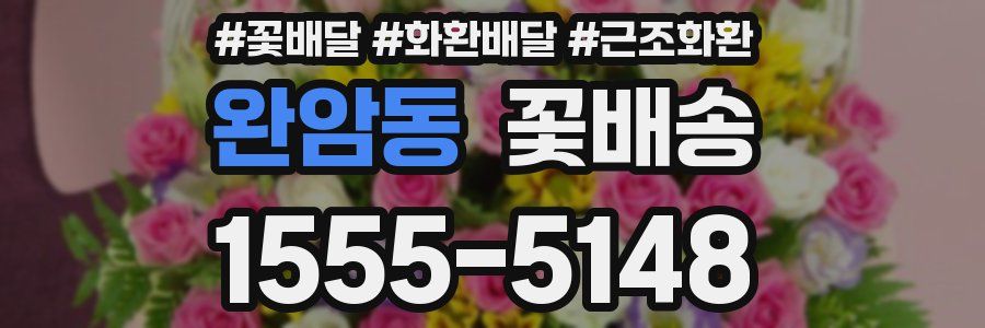 완암동 꽃배송