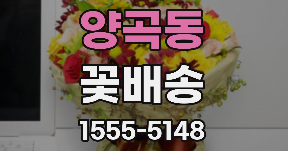 양곡동 꽃배송