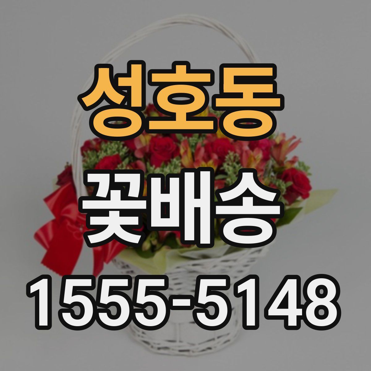 성호동 꽃배송