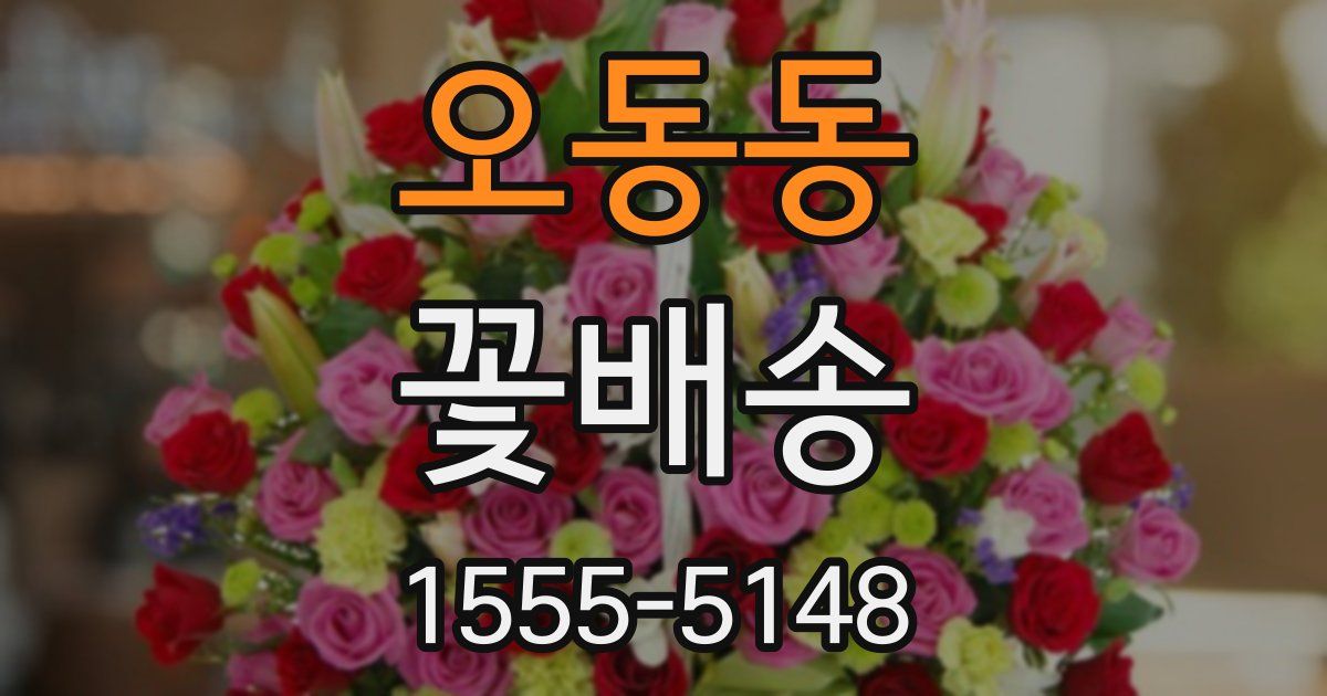 오동동 꽃배송