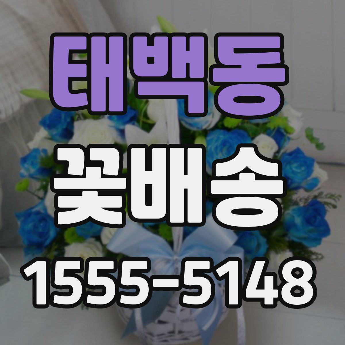 태백동 꽃배송