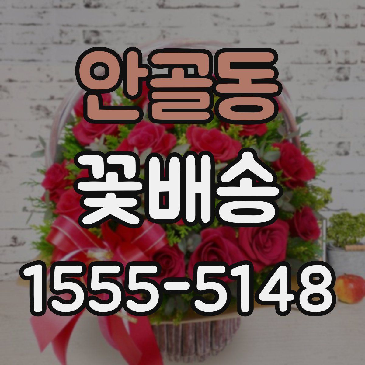 안골동 꽃배송