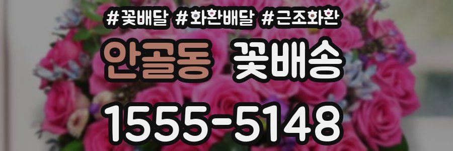 안골동 꽃배송