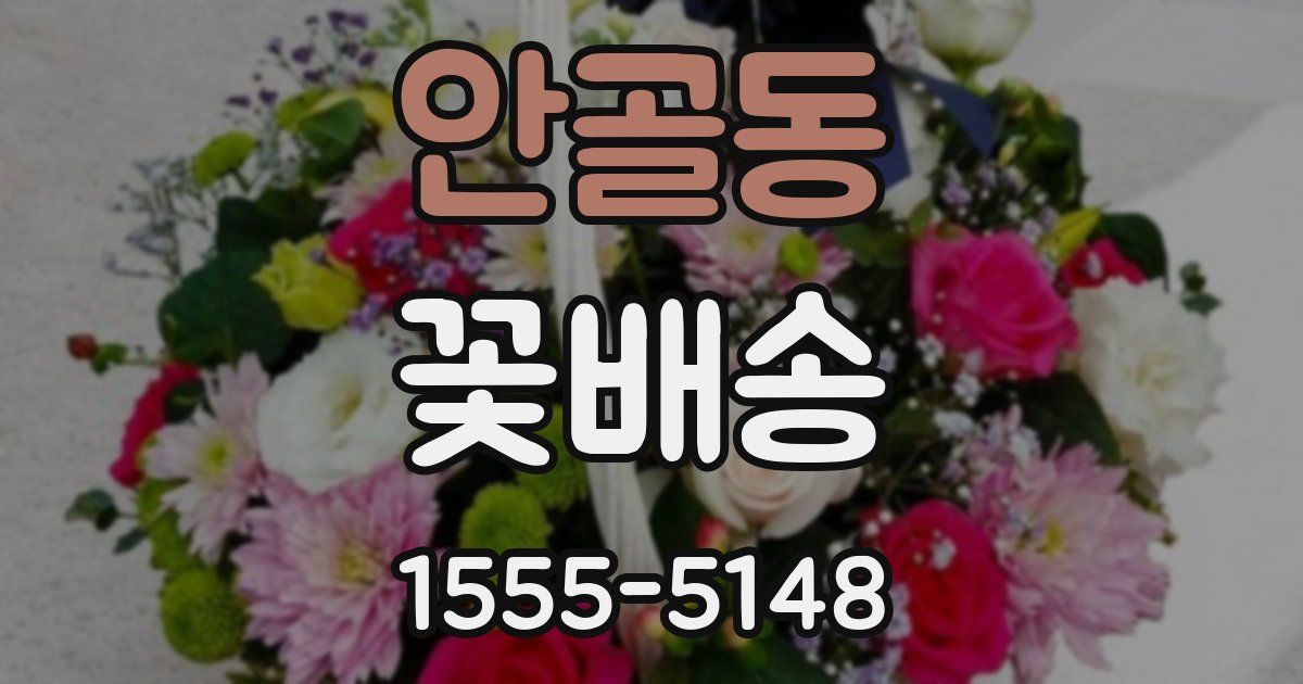 안골동 꽃배송