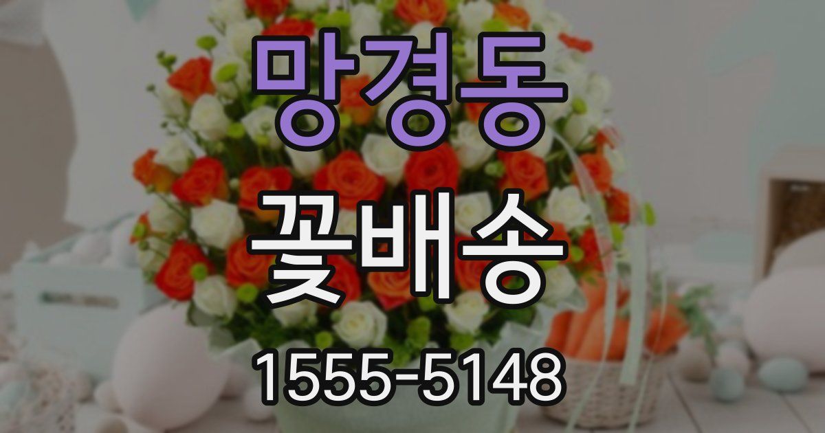 망경동 꽃배송