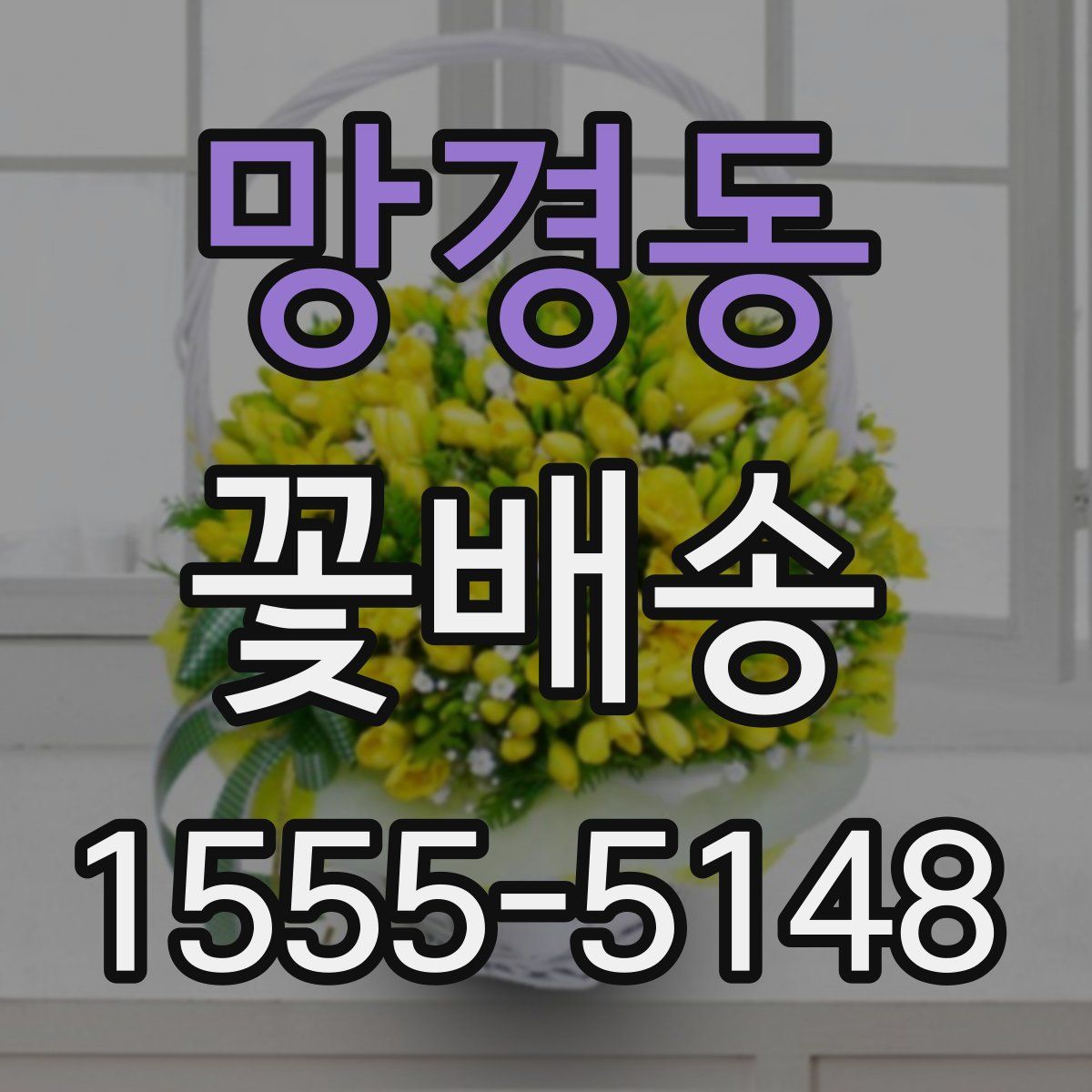 망경동 꽃배송