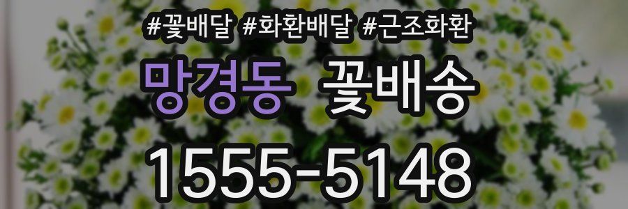 망경동 꽃배송