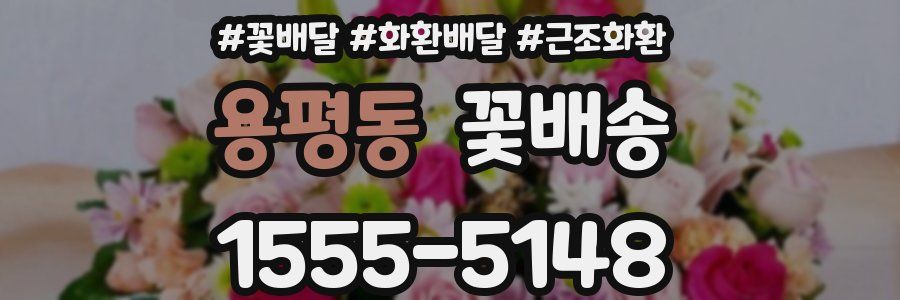 용평동 꽃배송