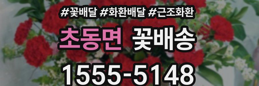 초동면 꽃배송