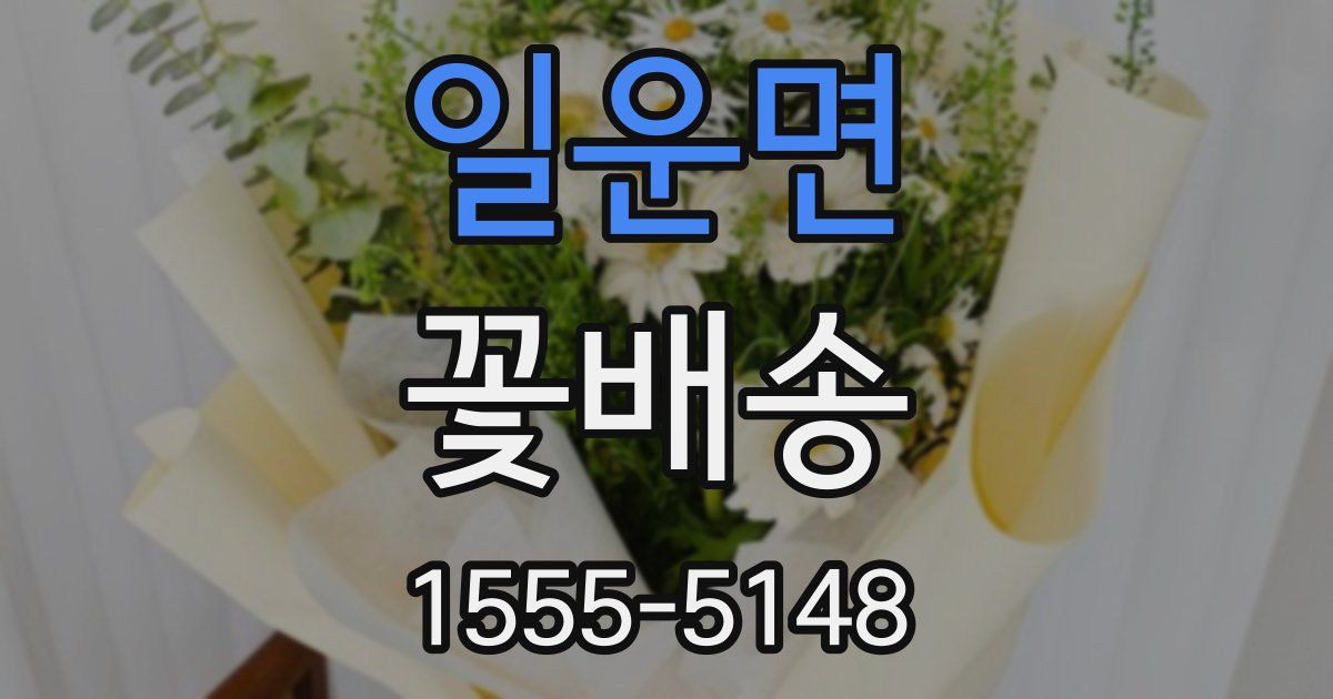 일운면 꽃배송