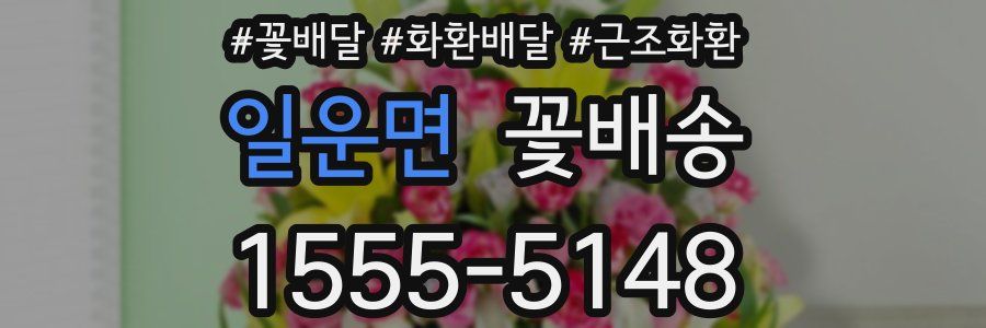 일운면 꽃배송