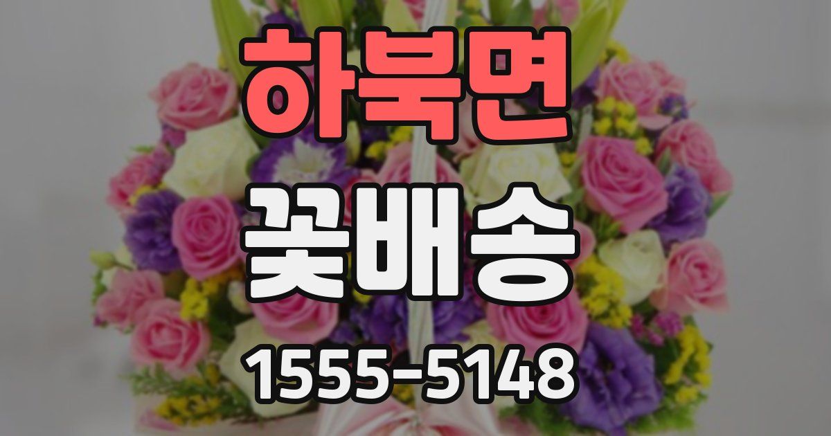 하북면 꽃배송