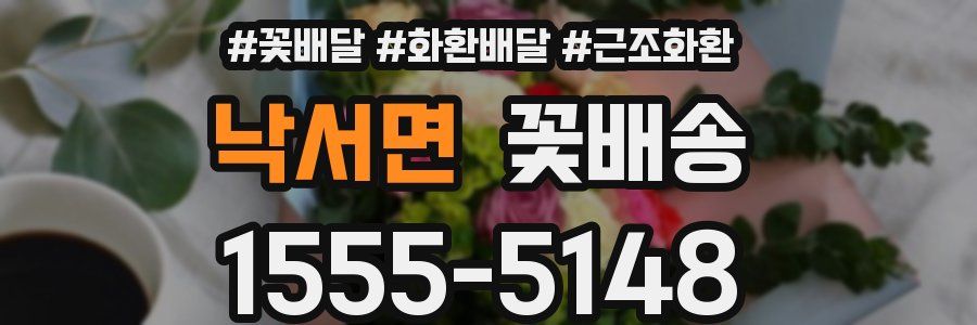 낙서면 꽃배송