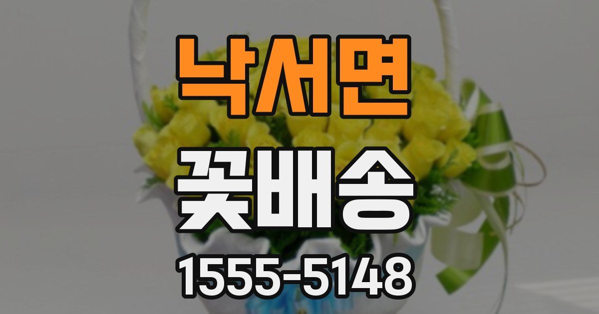 낙서면 꽃배송