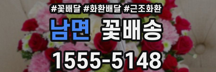 남면 꽃배송