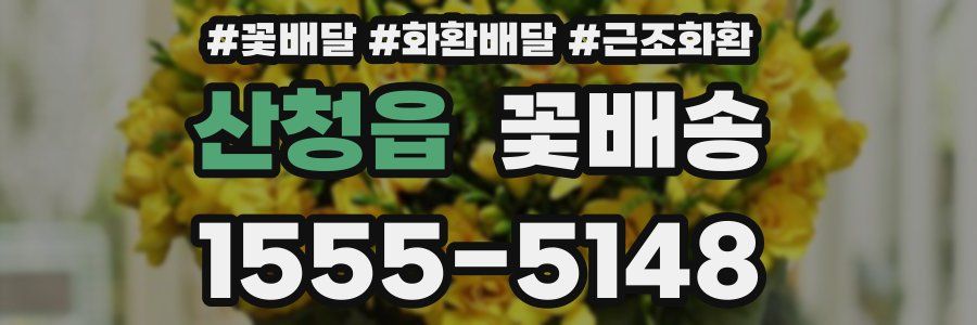산청읍 꽃배송
