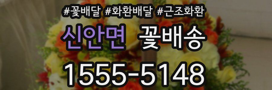 신안면 꽃배송