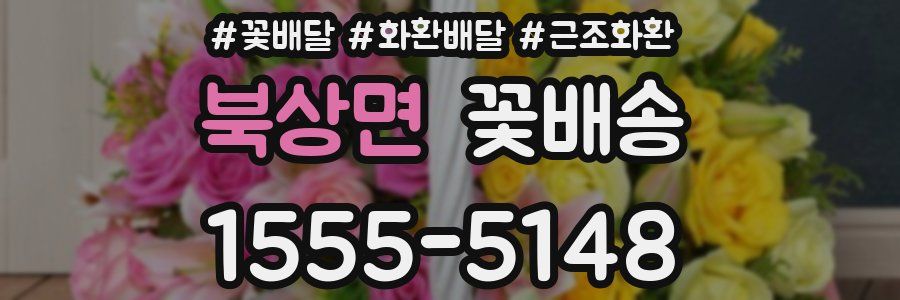 북상면 꽃배송