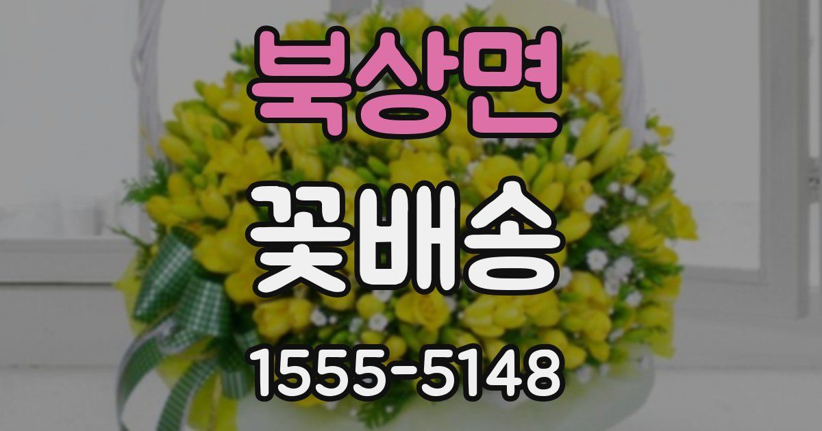 북상면 꽃배송