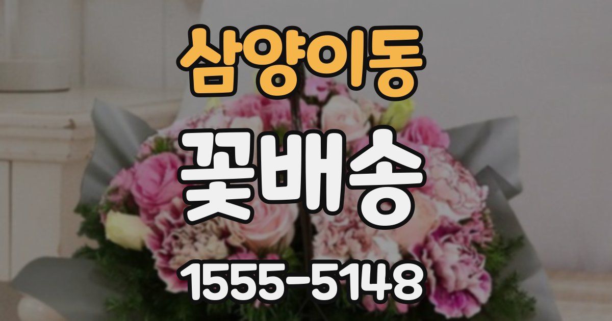 삼양이동 꽃배송