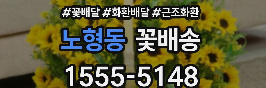 노형동 꽃배송