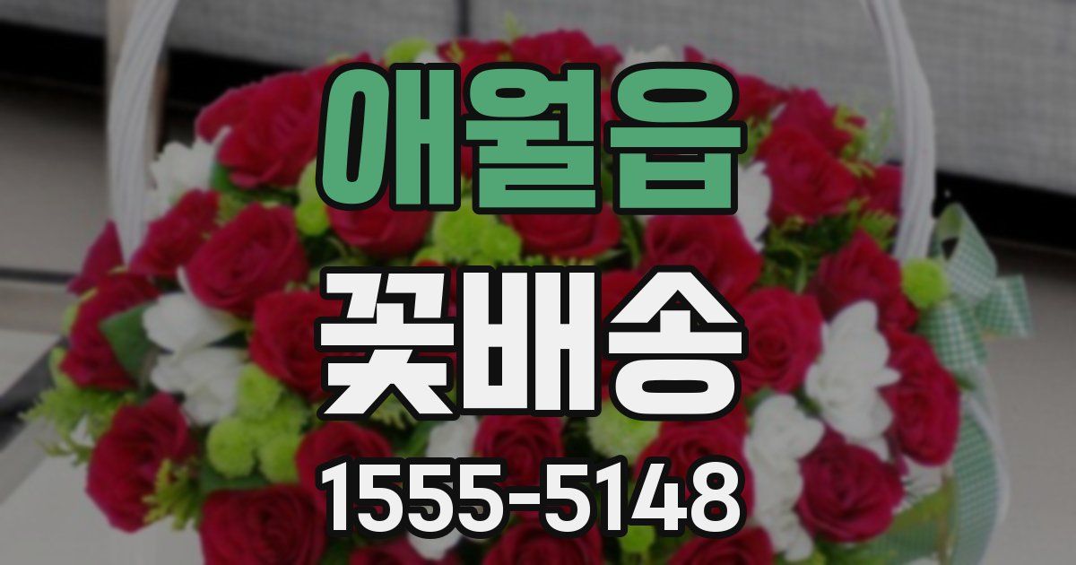 애월읍 꽃배송