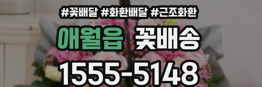애월읍 꽃배송
