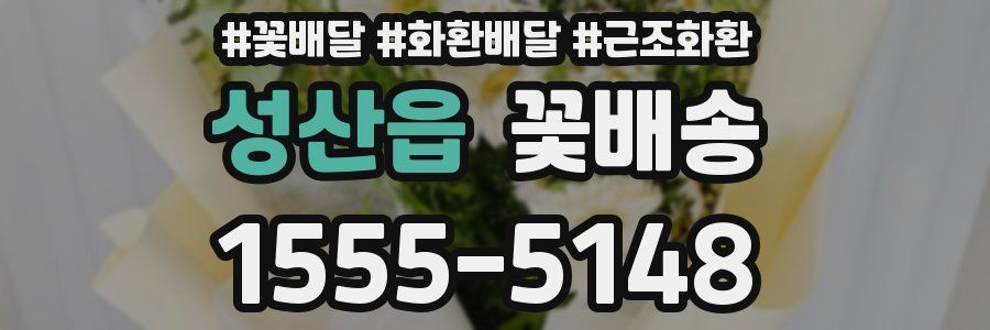 성산읍 꽃배송