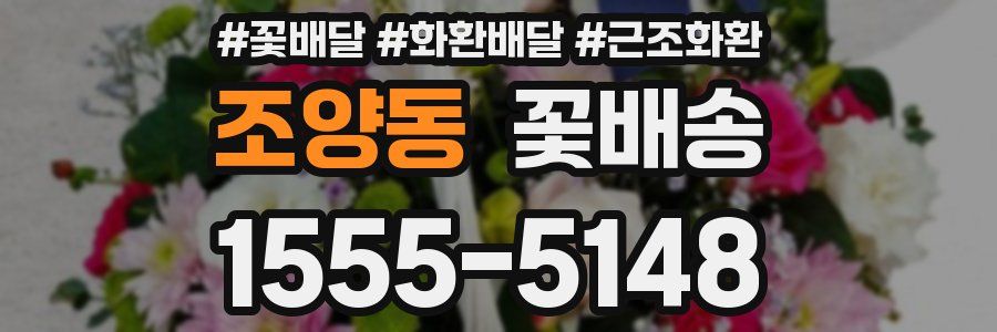 조양동 꽃배송