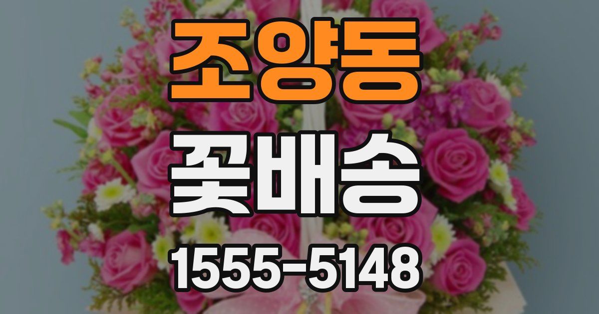 조양동 꽃배송
