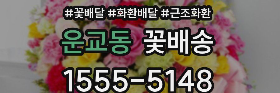 운교동 꽃배송