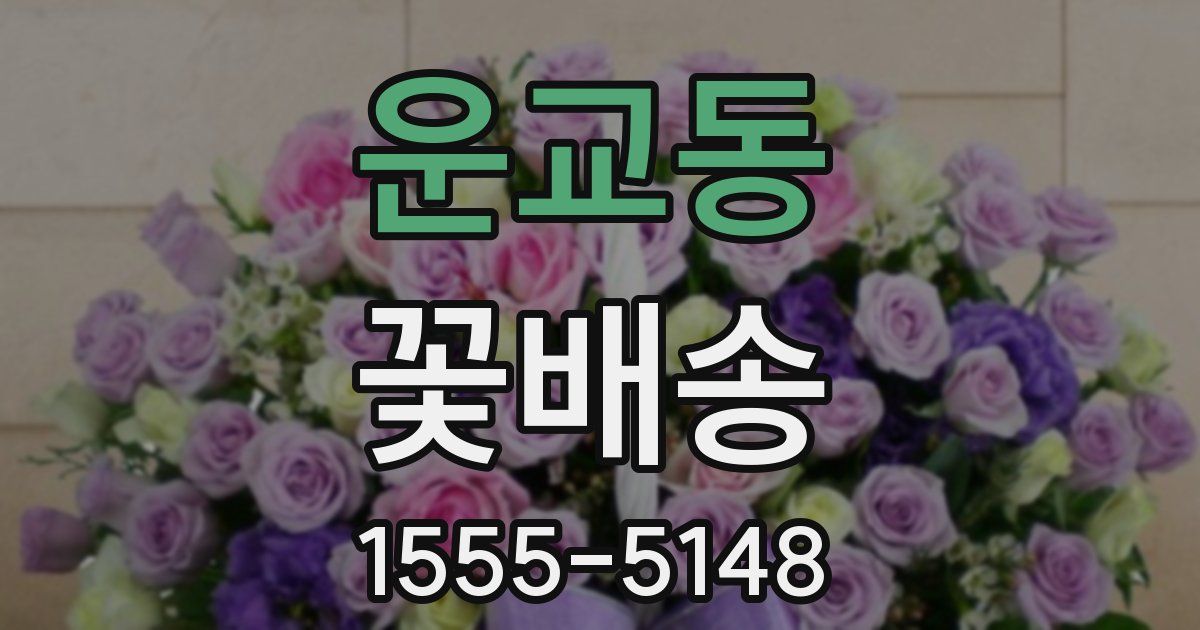 운교동 꽃배송
