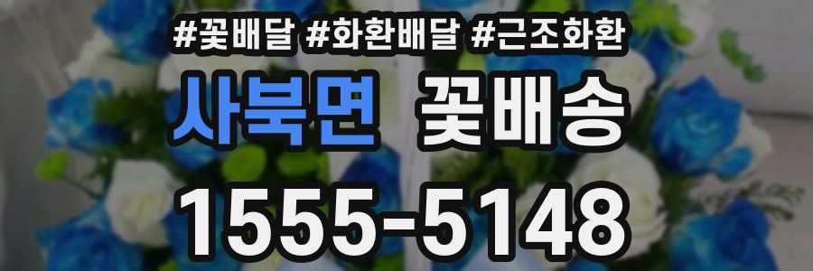 사북면 꽃배송