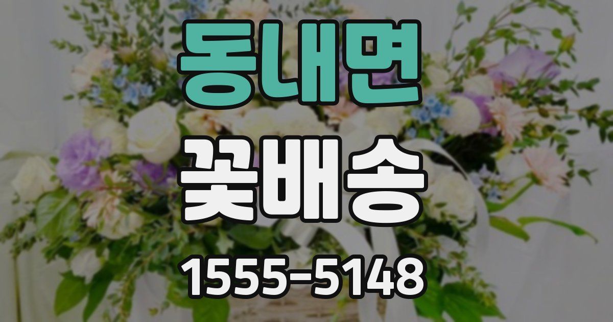 동내면 꽃배송