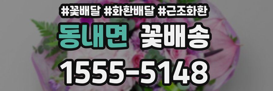 동내면 꽃배송