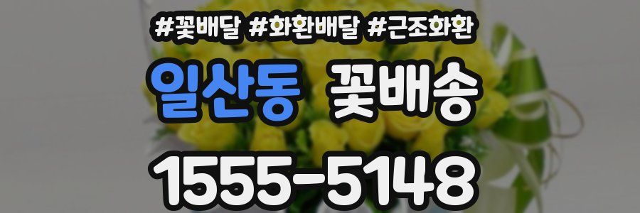 일산동 꽃배송