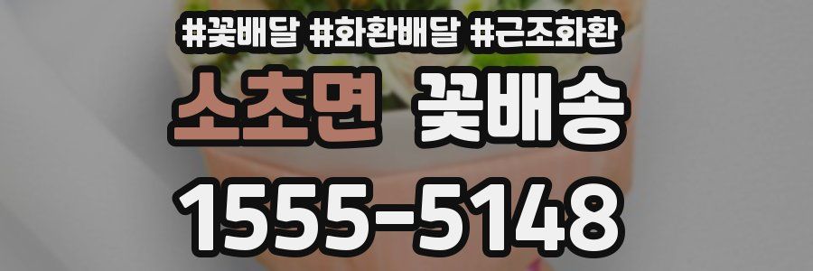 소초면 꽃배송