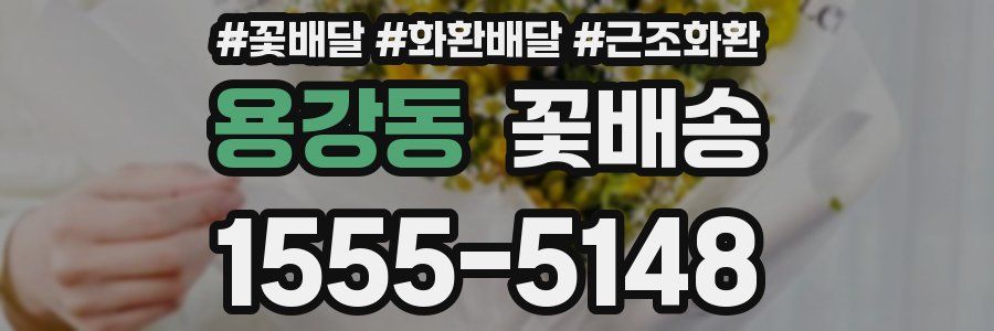 용강동 꽃배송